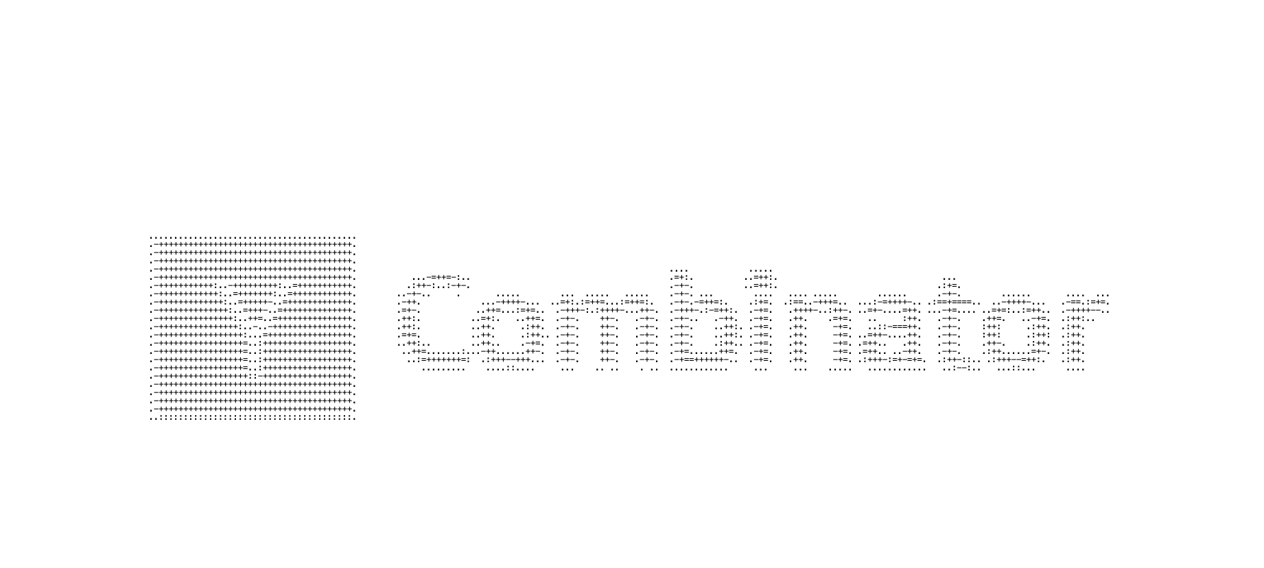 YC Investment Decisions